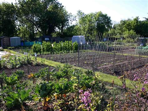 There are currently 52 plots available for rent. . Allotments near me